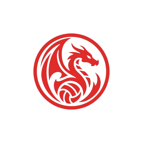 Dragon Trader Logo