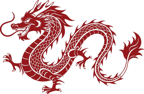 Dragon Trader logo